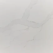Michelangelo