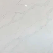 Michelangelo