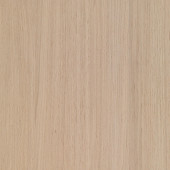 Milk Oak