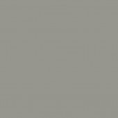 Noble Grey